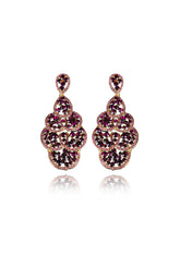 Nakeia Crystal Elegant Evening Earring